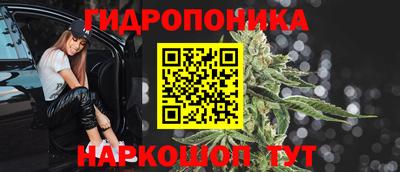 мдпв Владивосток
