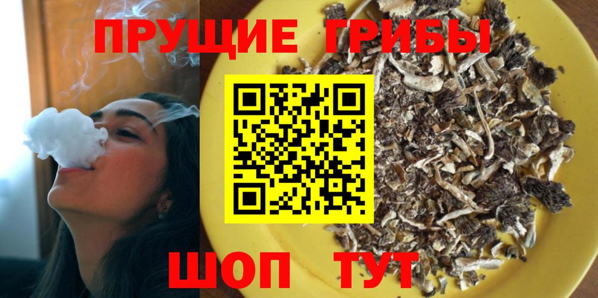 Псилоцибиновые грибы мухоморы  Галлюциногенные грибы Psilocybine cubensis  Сафоново  Вход с VPN 